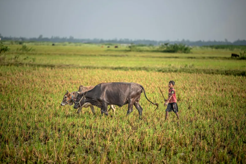 Breaking Ground: The Female Leaders Reshaping Rural Lincolnshire