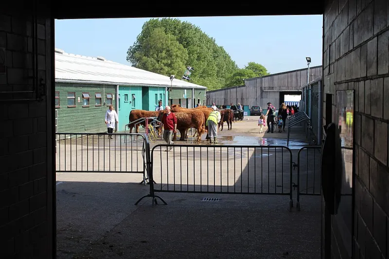 Clippers, Chaos and Countdown: Inside the 48-Hour Sprint to Show Day