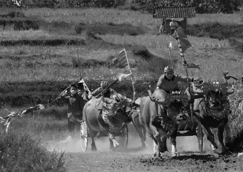 Your Essential Guide to Gonerby YFC's Unmissable 2024 Events