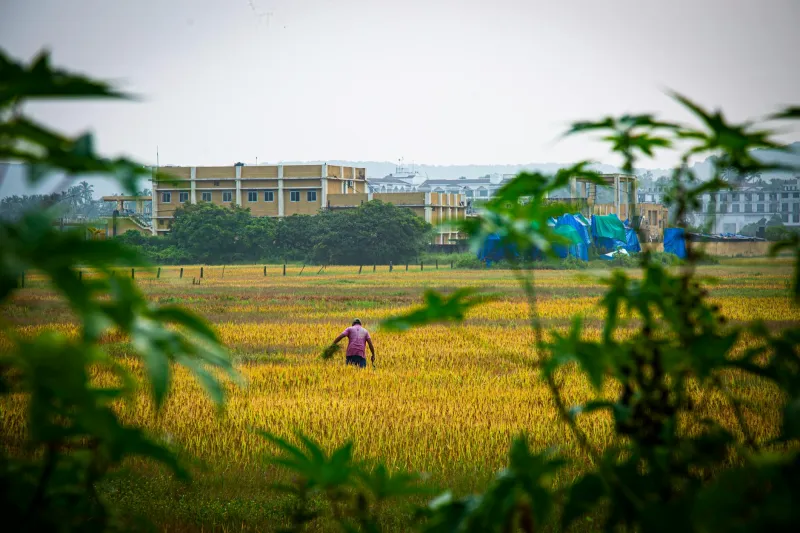 Fields First, Finals Second: The Seasonal Blueprint That Makes Gonerby Athletes Unstoppable