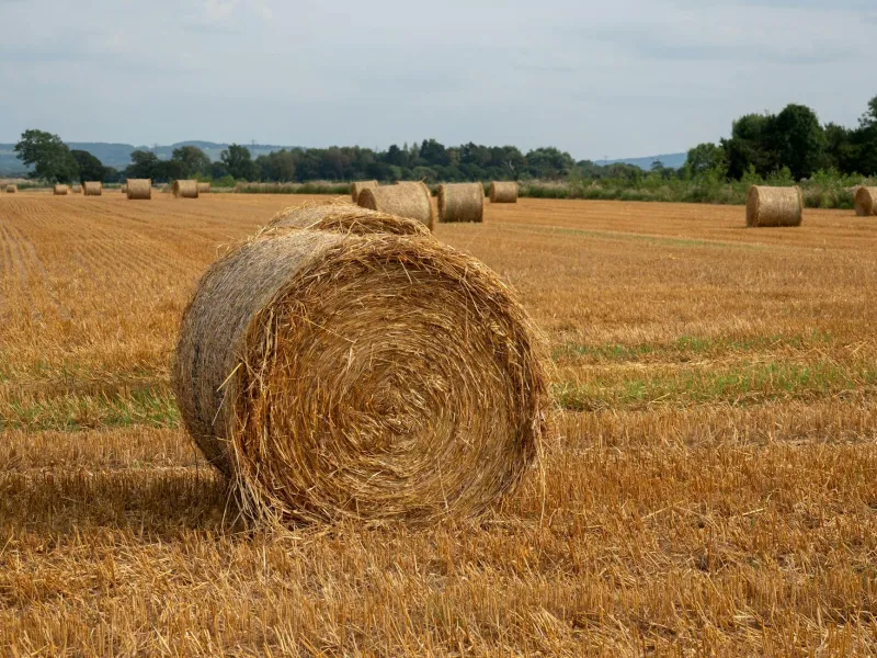 Four Seasons of Belonging: Inside Gonerby YFC's Calendar That Beats Any Social Media Feed