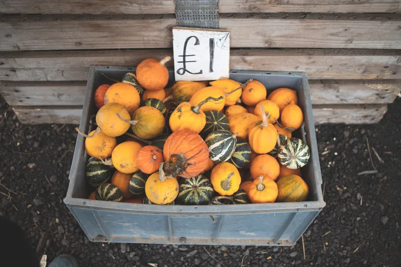 Soil to Storefront: The Quiet Business Revolution Being Hatched Inside Gonerby YFC