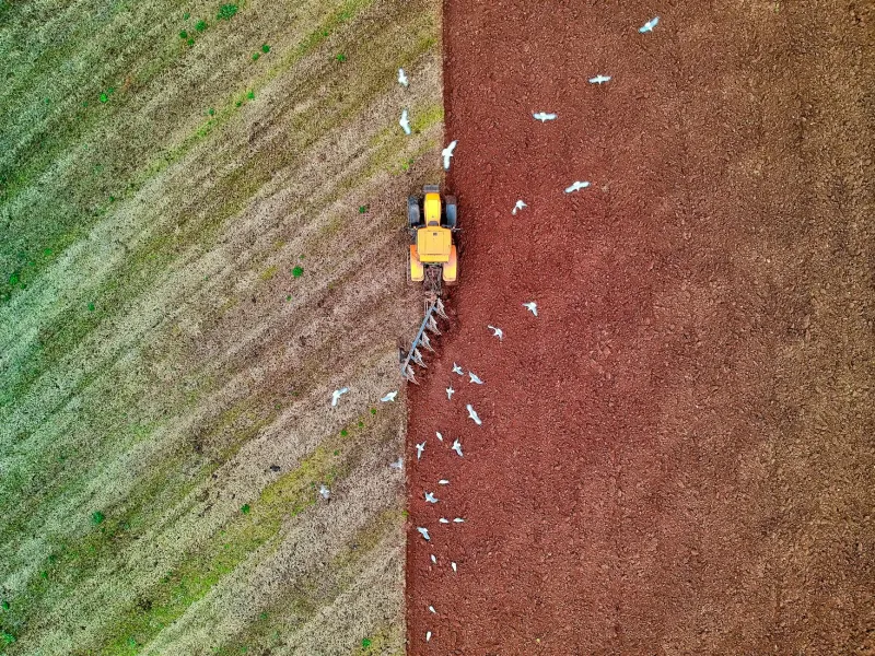 Straight Lines and Strong Bonds: The Ploughing Match That United a Village